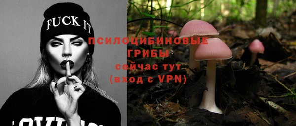 mix Костерёво