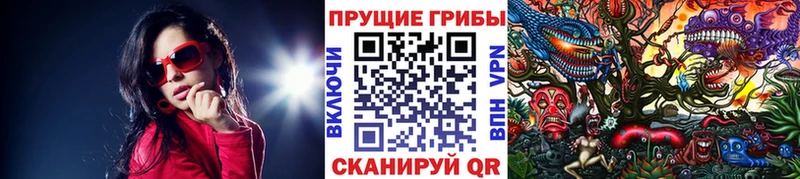 Галлюциногенные грибы мицелий  Пучеж 